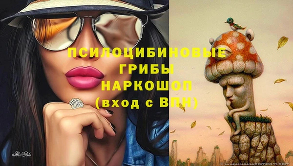 ALPHA PVP Балахна